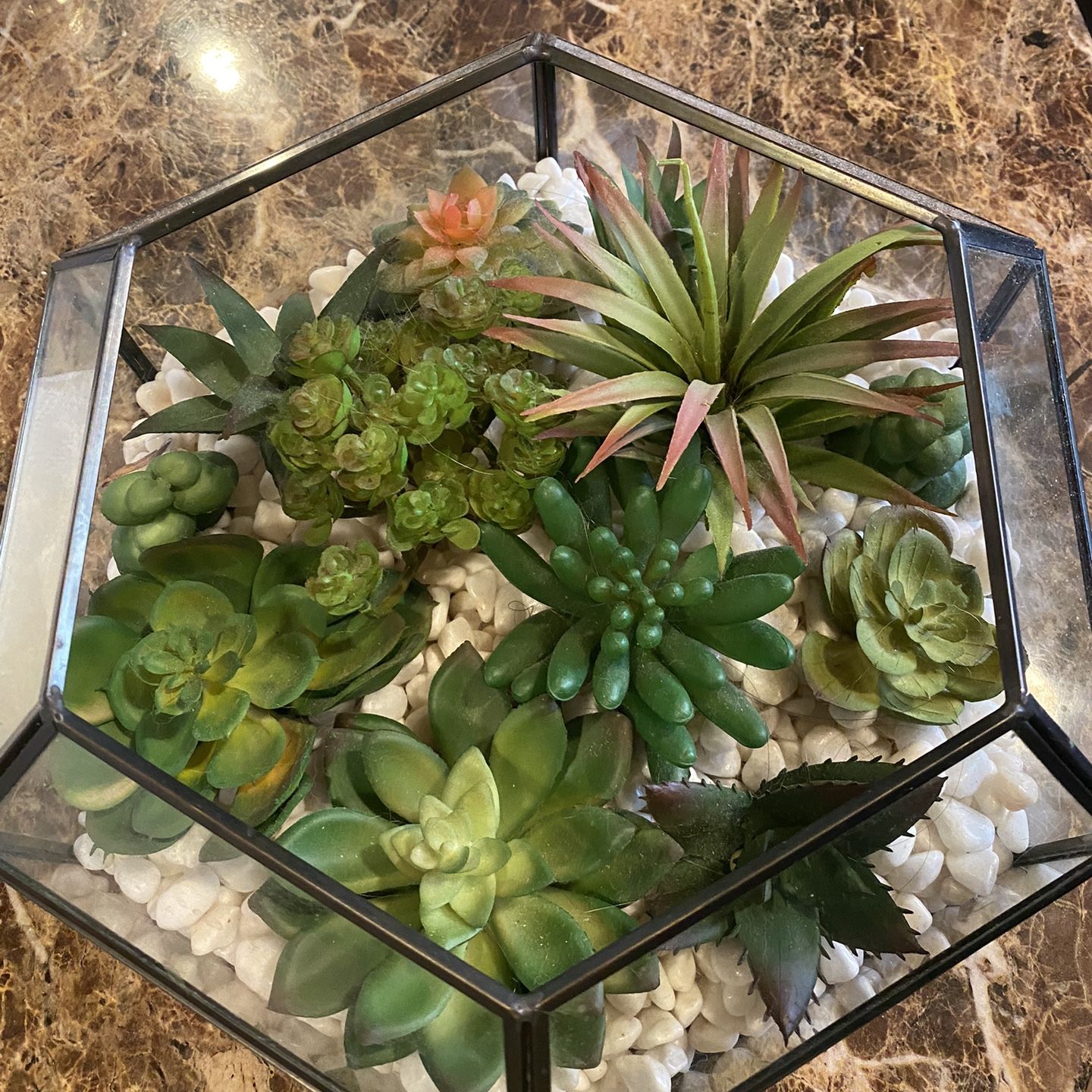 Heavy Glass With Artificial Succulents For $15