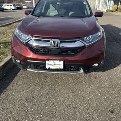 2019 Honda Crv 