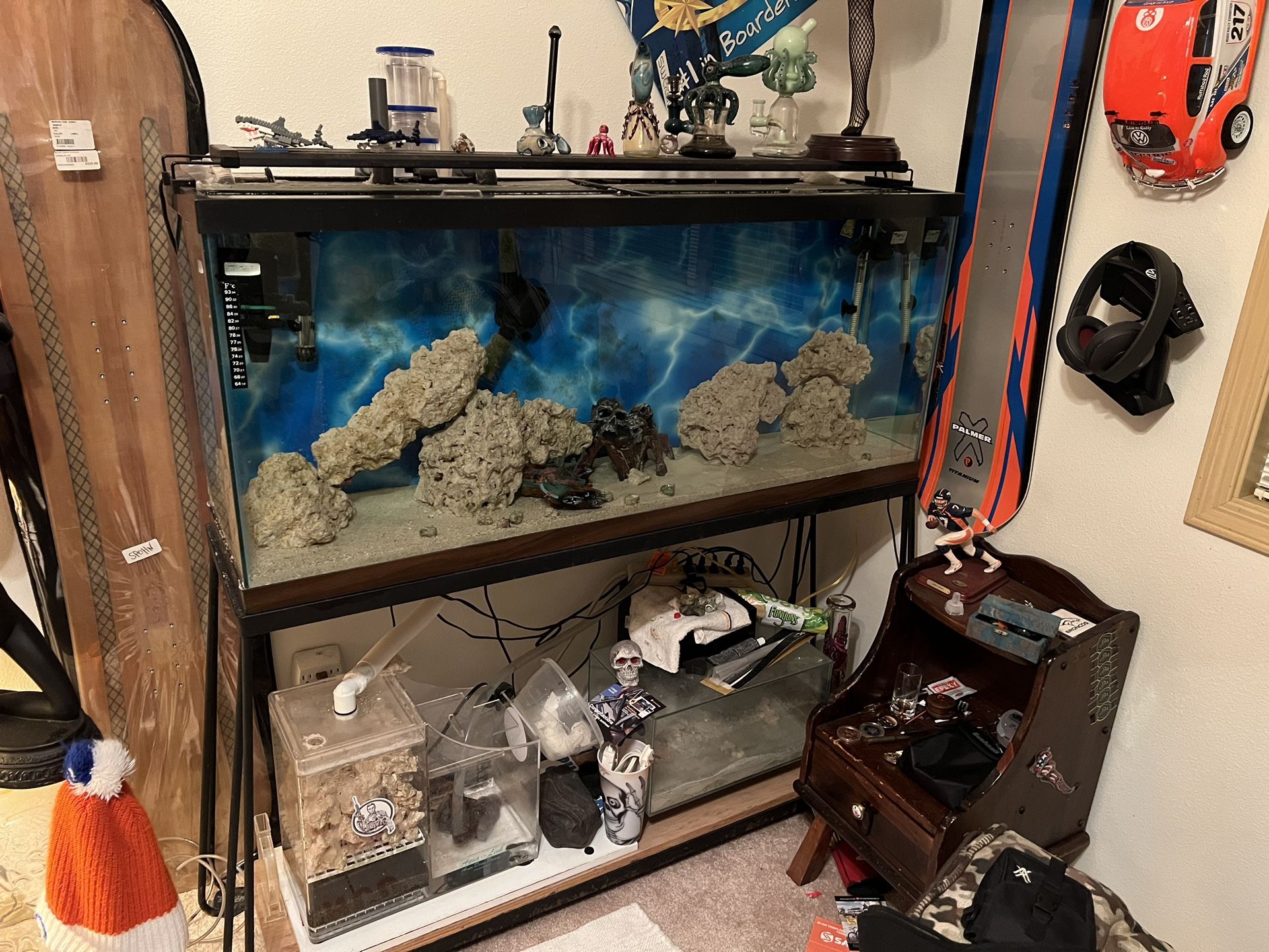 55 Gallon Salt Tank With Glass Top & Wet dry Filter & Protein Skimmer