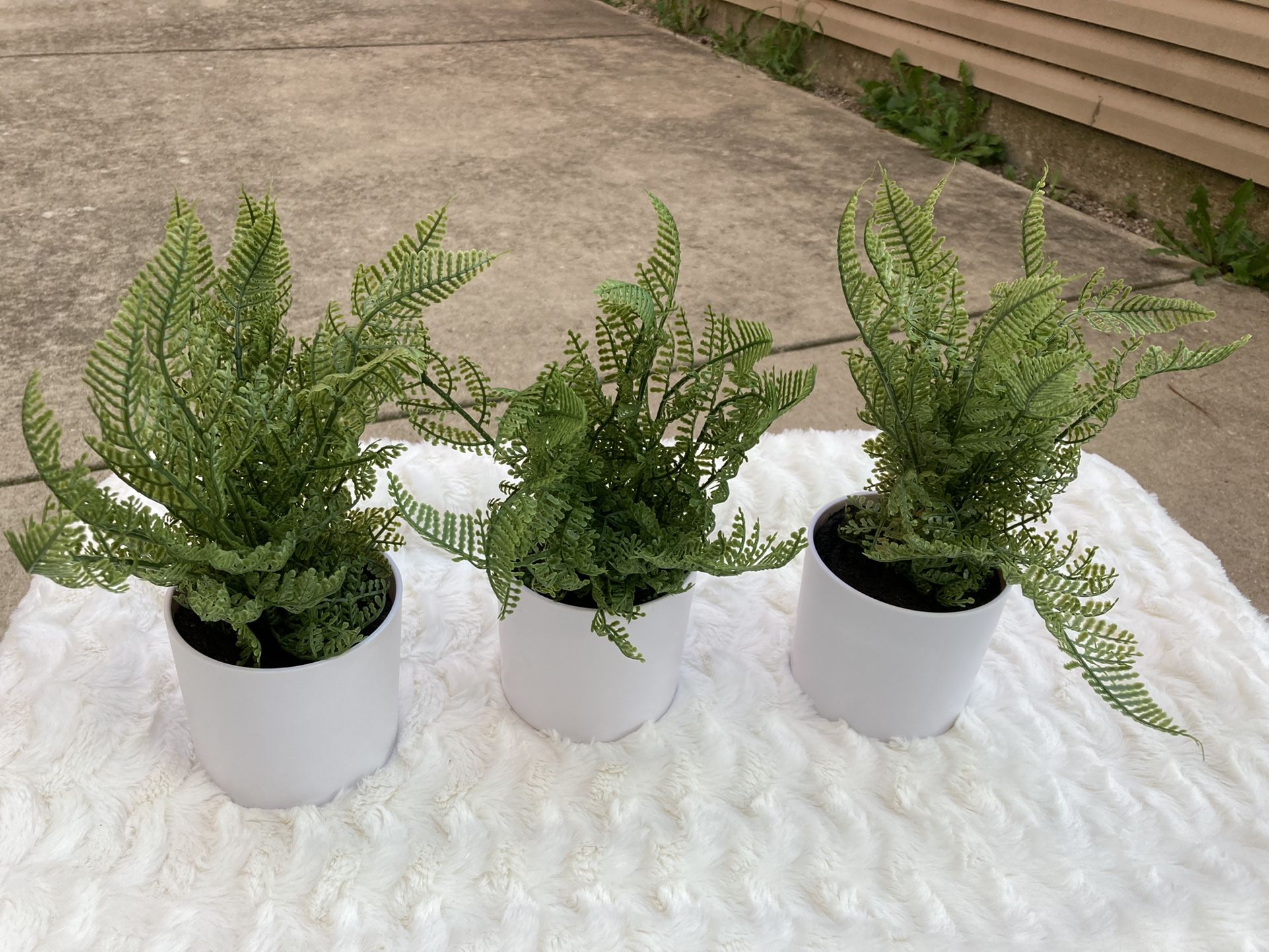 Potted Faux Plants (small)