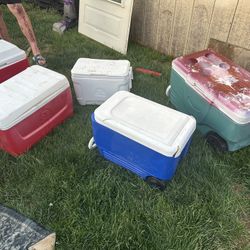 Coleman And Igloo Coolers 