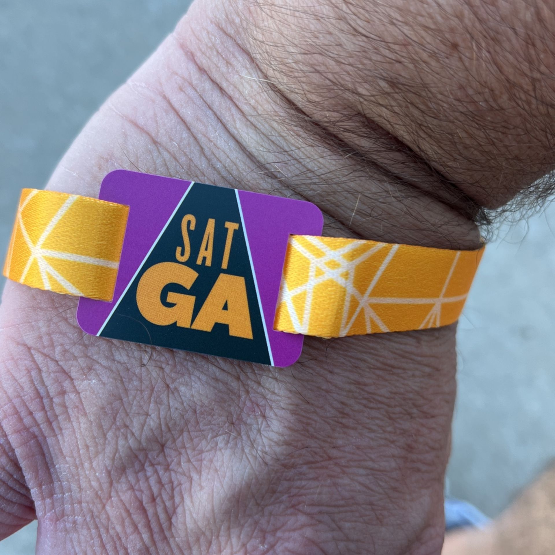 Louder than life Saturday Pass 100 dollars