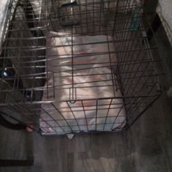 Dog Crate