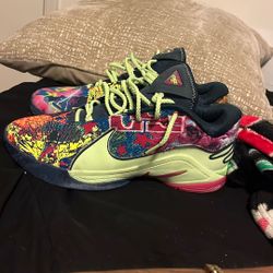 LeBron James Bryce’s World 22 Size 10.5