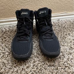 Wrestling Shoes 