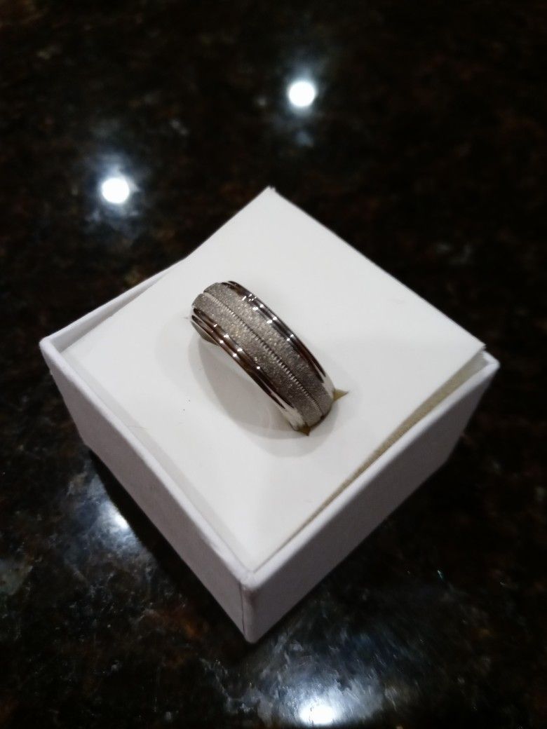 NWOT Men's Titanium Quad Bezzeled Band
