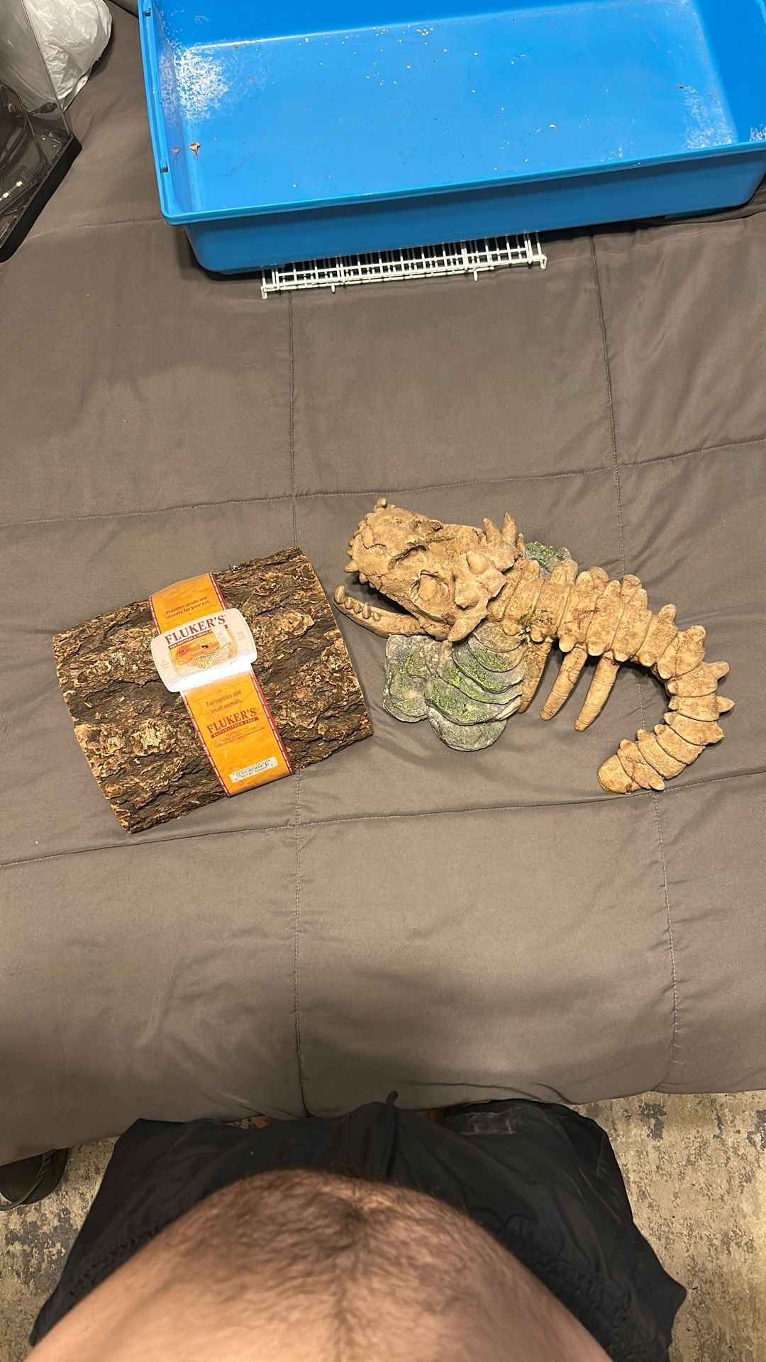 Bearded Dragon Accessories