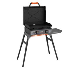 Blackstone 22”