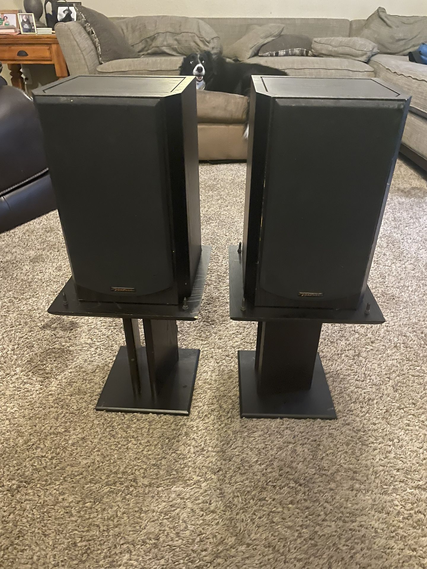 BIC Venturi DV62-B Speaker Pair with Stands - Great Sound!