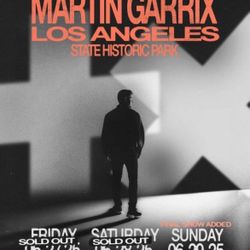 Martin Garrix Sunday
