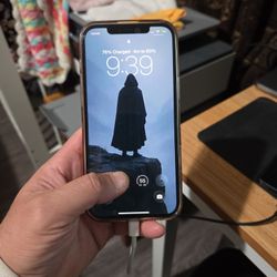 Iphone 12 Pro Max 512GB