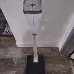 Bathroom Scale 