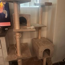 Cat Tower