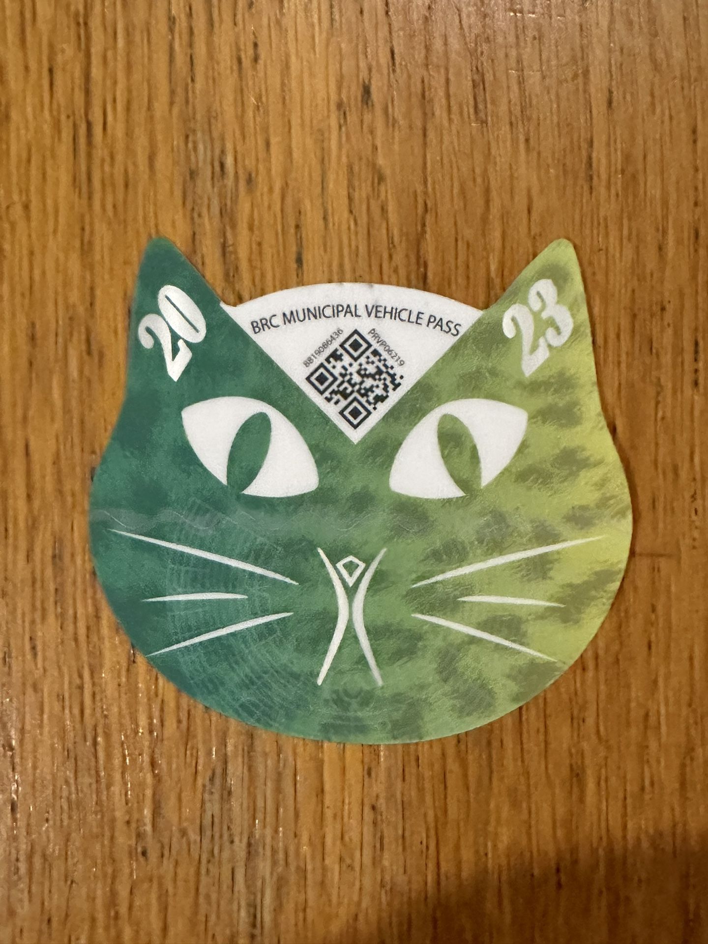 VEHICLE PASS FOR BURNING MAN 2023