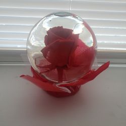 Rose In A Globe 