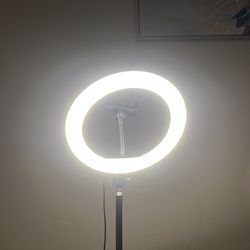 LED ring light