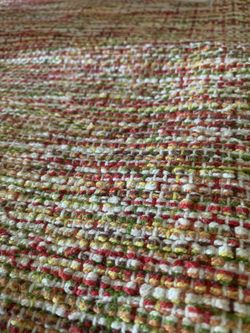 Alguien que venda bebés cotorritos