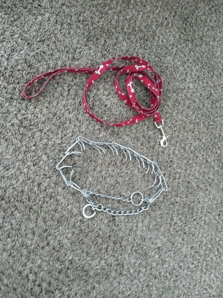 Training Collar And Leash
