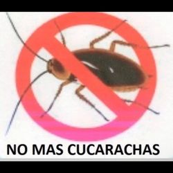 Gel Para Las Cucarachas 🪳 Gel For  Roaches 🪳 