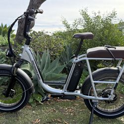 Radrunner Plus 2024 E-bike