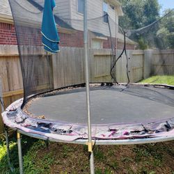 Trampoline For Free