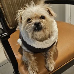 2005 F350 Enclosed Plumbing Bed 