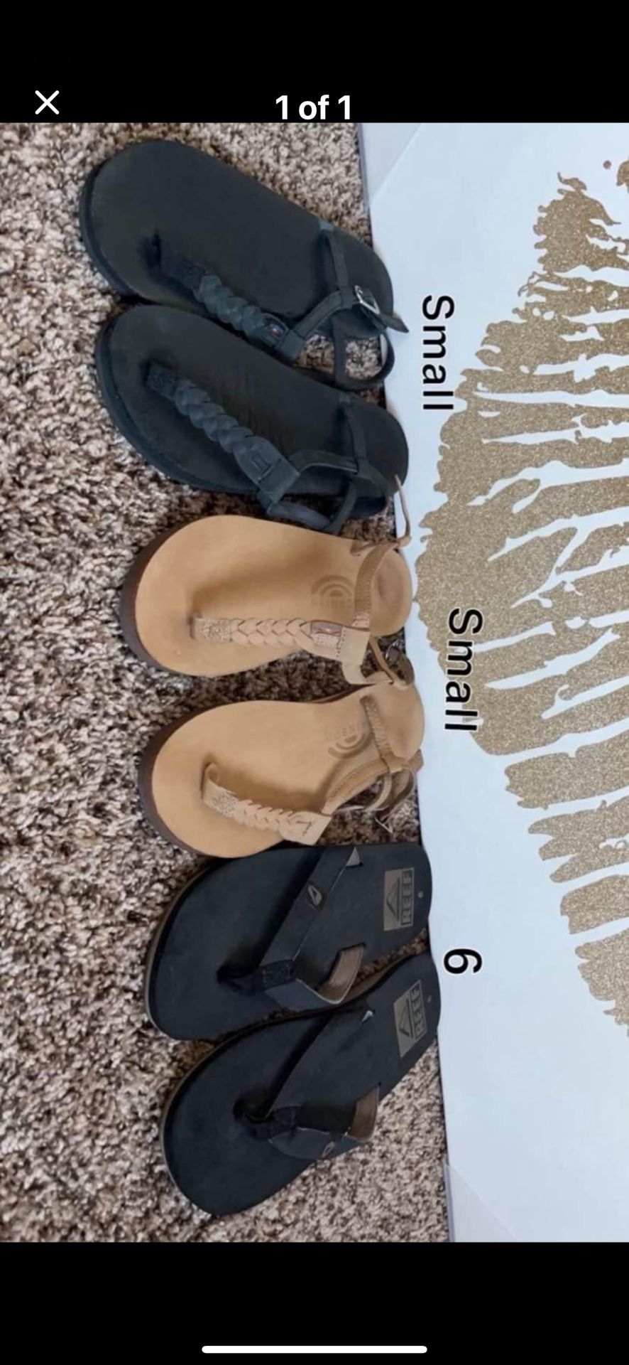 Rainbow/Reef Sandals