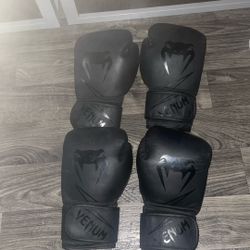 Venom Boxing Gloves 