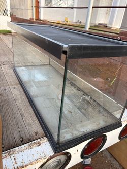 Reptile tank