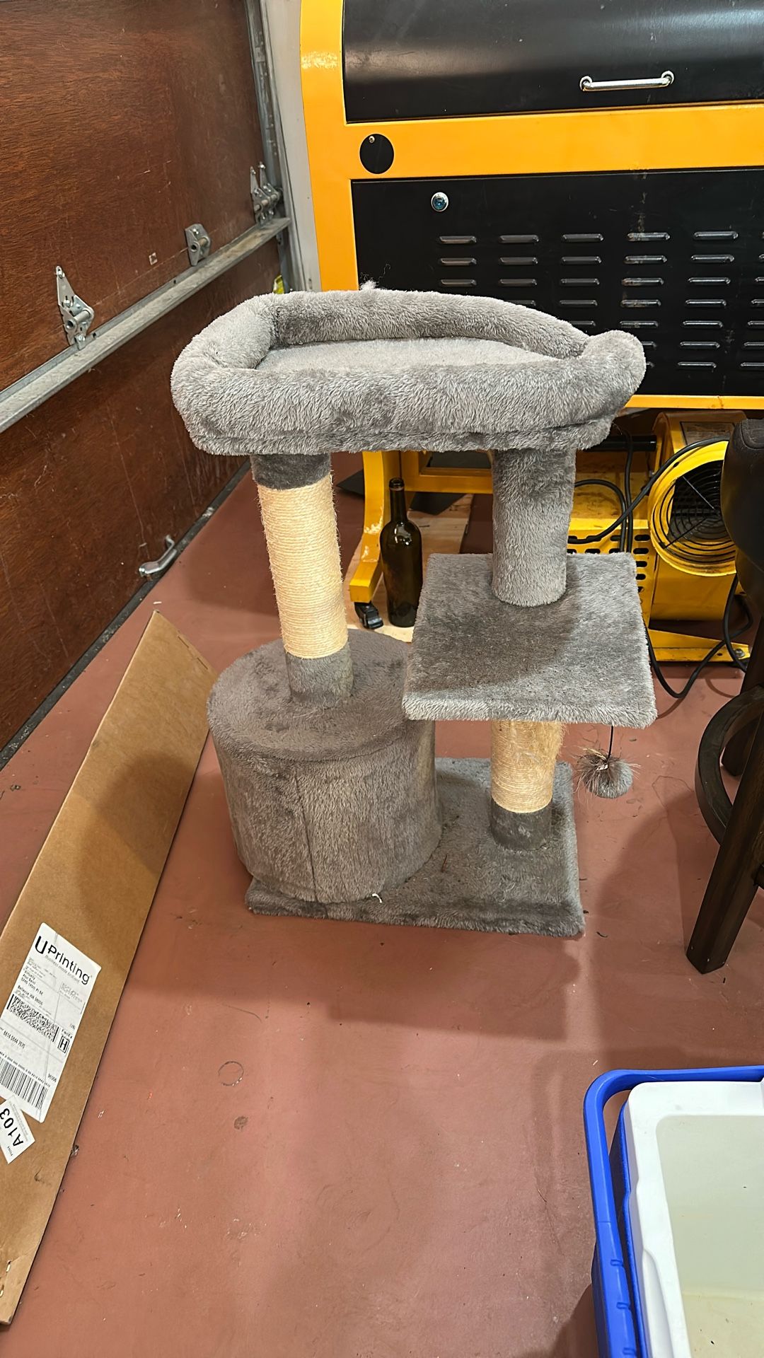 Small Cat Tree Kitten