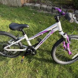 Mountain bike 20 inch