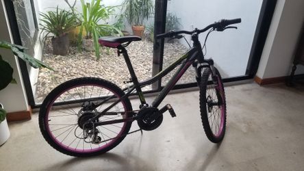 Giant Bicycle (liv Enchant) For Young Adults