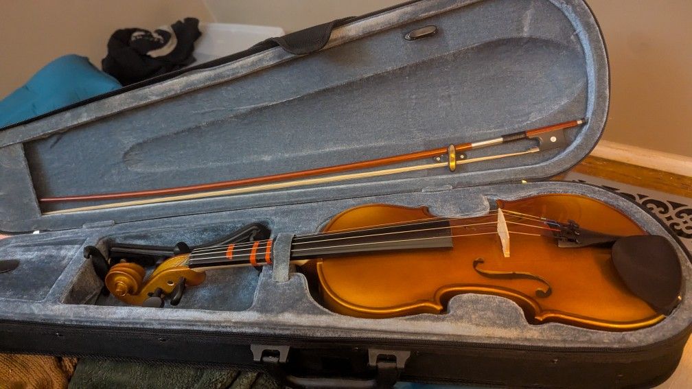 Violin