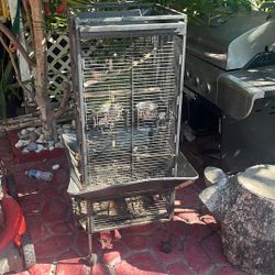 Big Bird Cage
