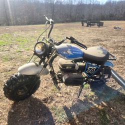 Trailmaster
Trailmaster Mini Bike MB200X Hurricane