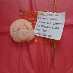 Soap Coconut 