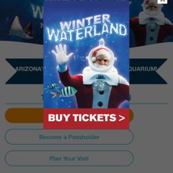 ODYSEA AQUARIUM TIX **HALF OFF**
