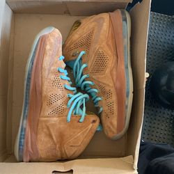 Lebron X