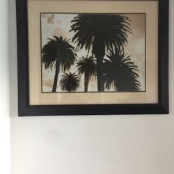Palm Trees picture