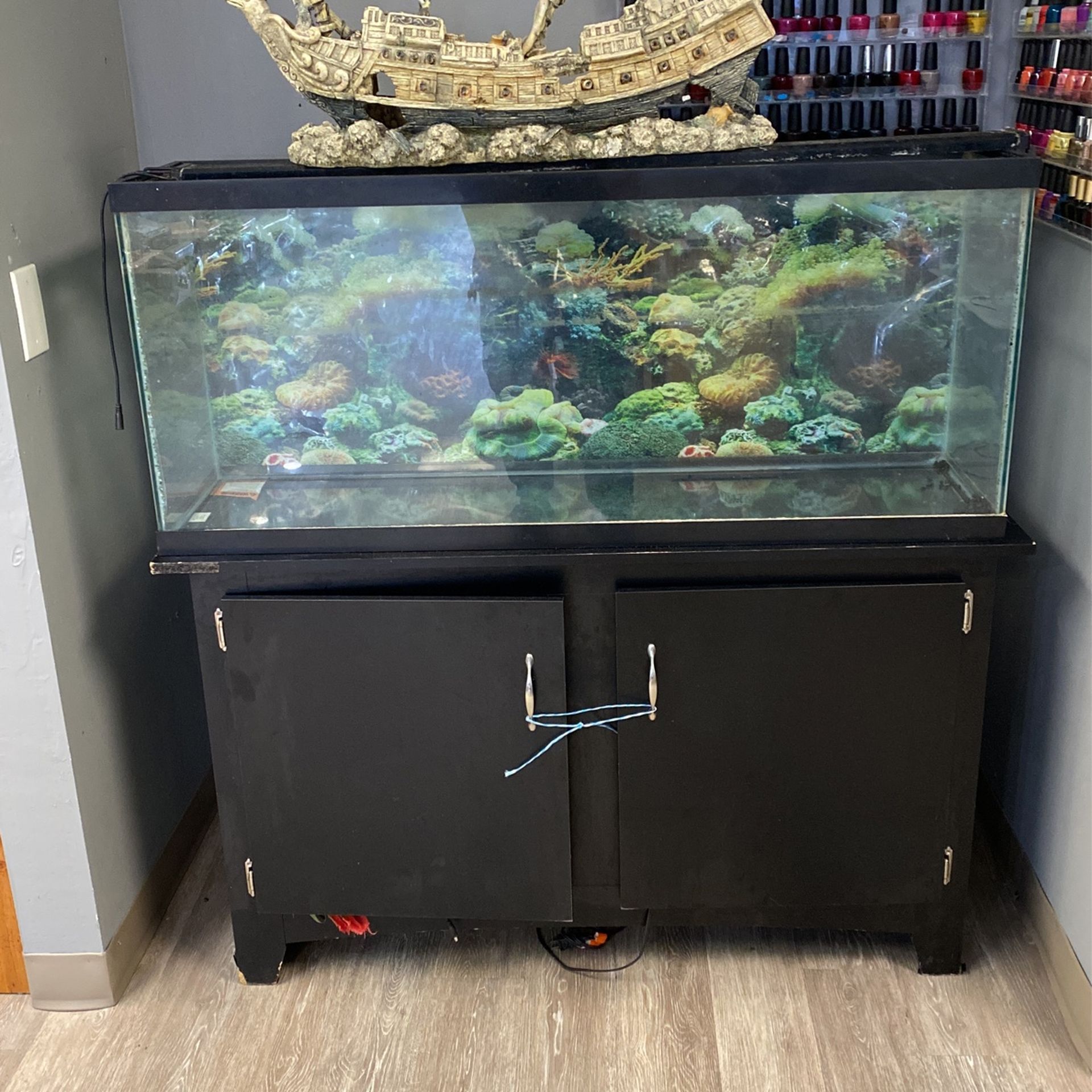 45 Gallon Fish Tank with Stand And Accessories!