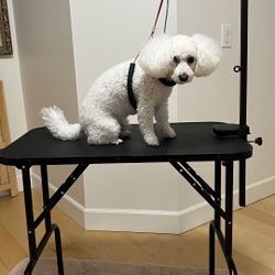 Nice Clean Dog Grooming Table