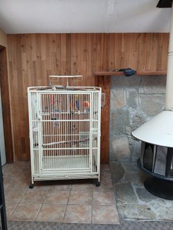 Large white bird cage