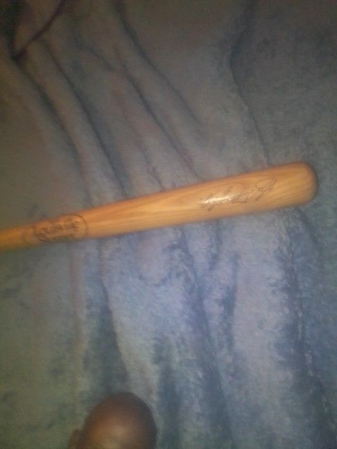 Ken Griffey Jr Bat