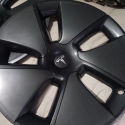 Two Tesla Hubcaps