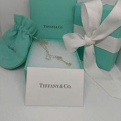 💎🗝Authentic Tiffany and Co. Necklace