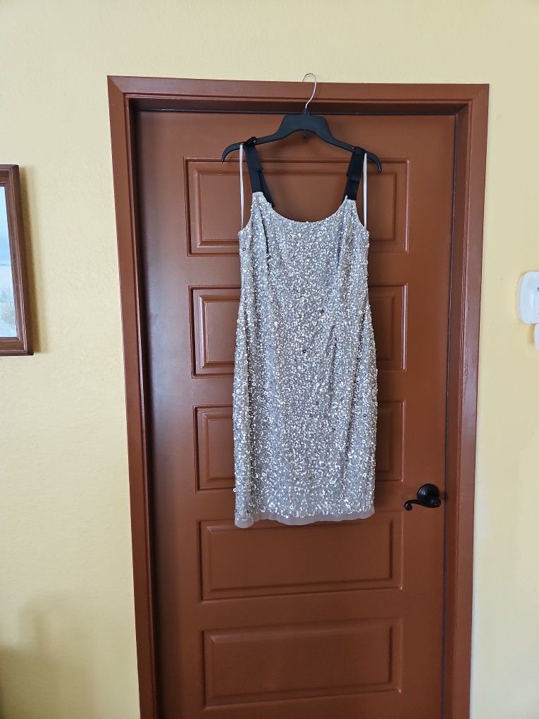 Silver sequin party dress.