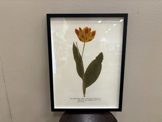 Framed Tulip Art Print