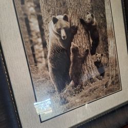 Family Tree Bear And Cubs Picture