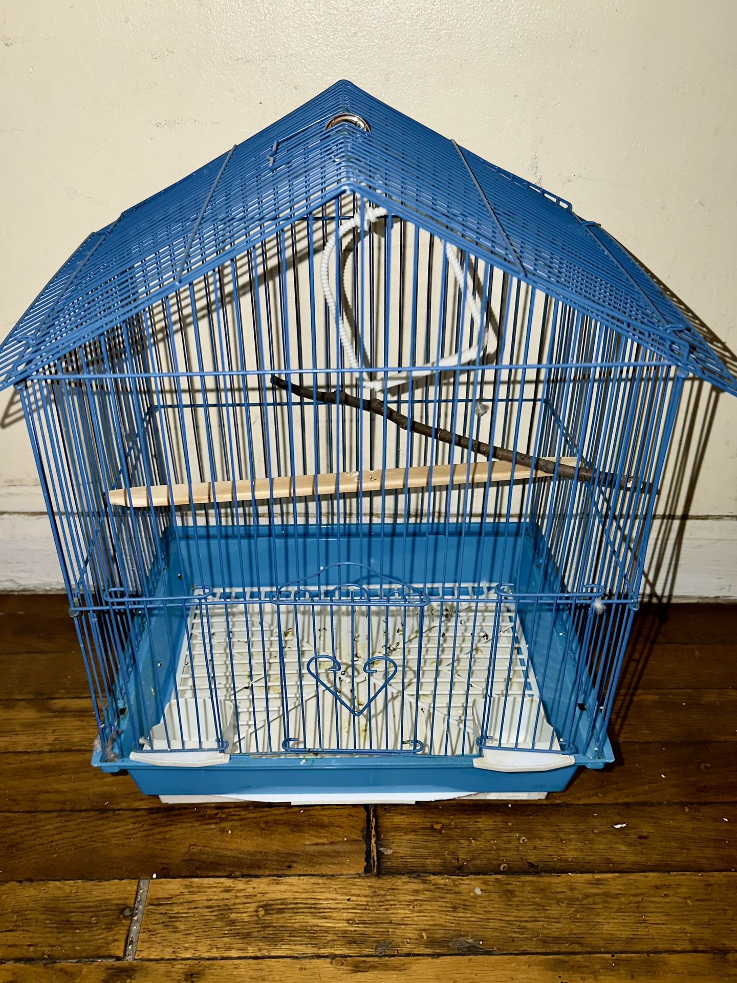 Bird Cage 