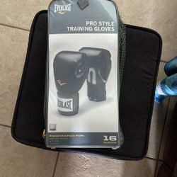 Pro Boxing Gloves